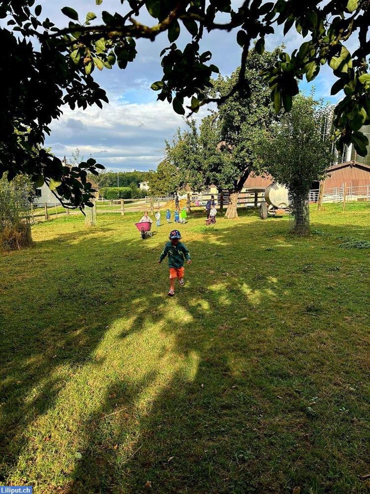 Bild 3: Bauernhofspielgruppe Warthof (Kaisten)