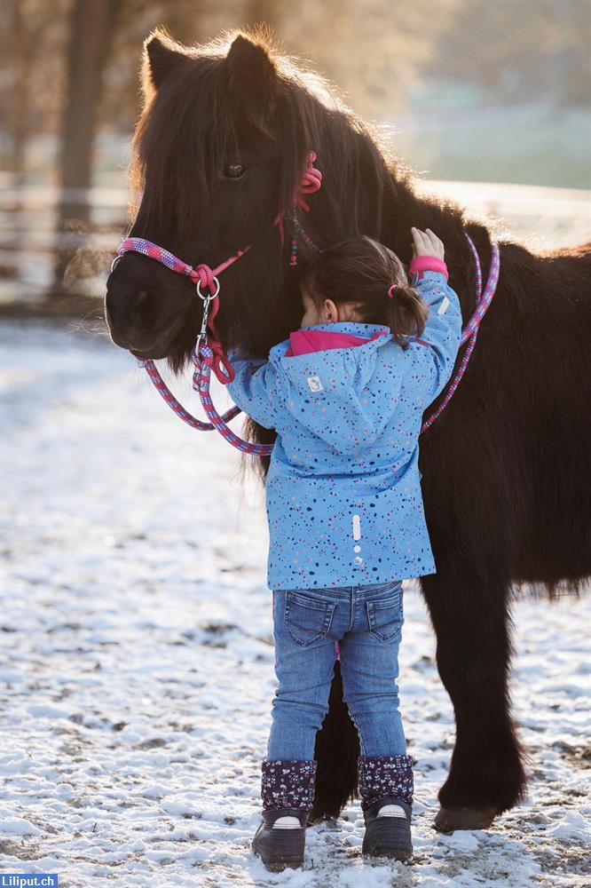 Bild 4: Pony reiten, Kindergeburtstag