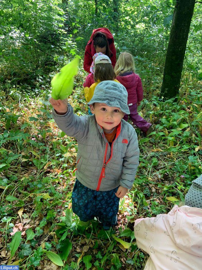 Bild 3: Kinderkrippe Wallbach - Wir haben noch freie Plätze!