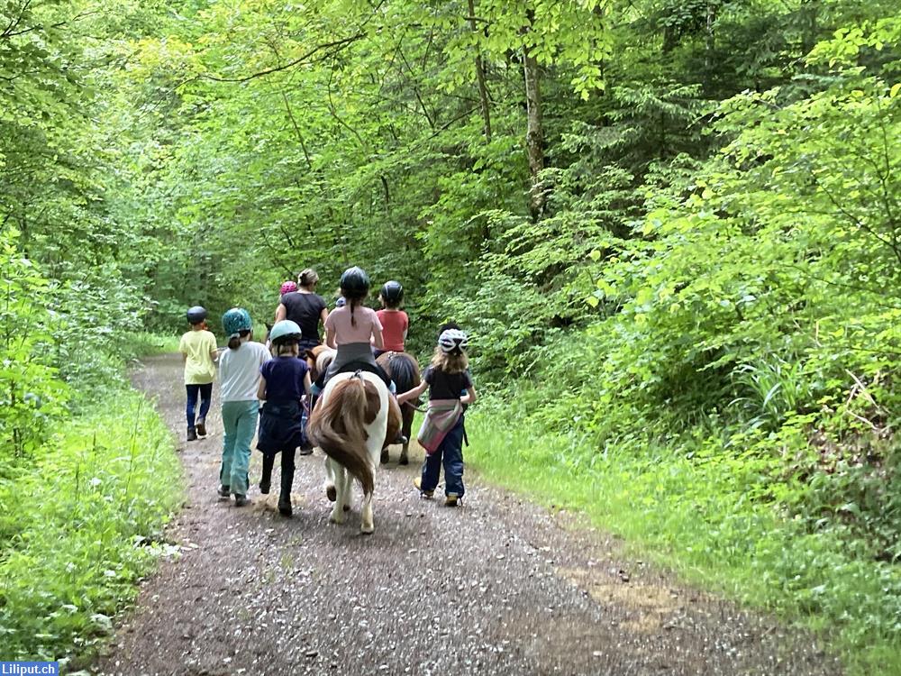 Bild 3: Pony Camp / Reitlager im Begegnungshof Limmattal