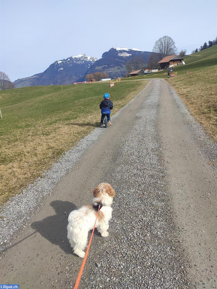 Bild 1: Tagesmutter bietet herzliche Betreuung in Allmendingen bei Thun