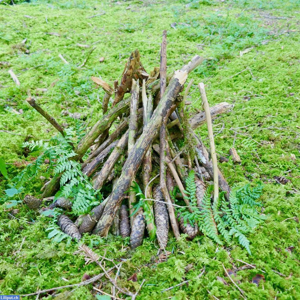 Bild 2: Binggis under Bäum - Der Eltern-Kind-Treff im Allschwilerwald