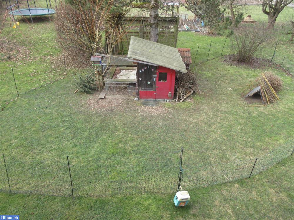 Bild 1: Tierbetreuung für Meerschweinchen, Hamster und Kaninchen